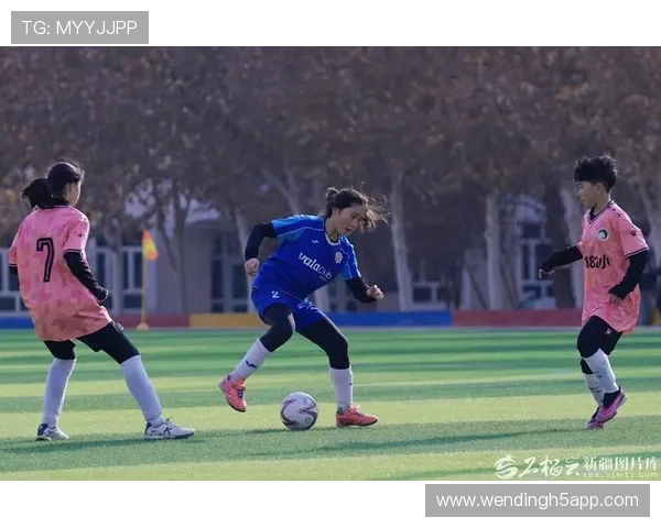 问鼎体育wd28用户评论与赛事点评分享真实玩家体验与专业分析